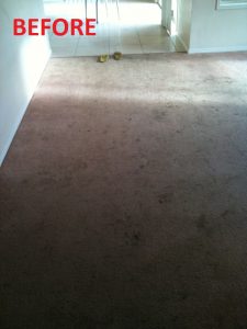 before-carpet
